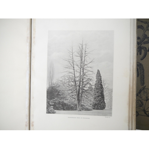 9092 - (Trees), Henry John Elwes & Augustine Henry: 'The Trees of Great Britain & Ireland', Edinburgh, Priv... 