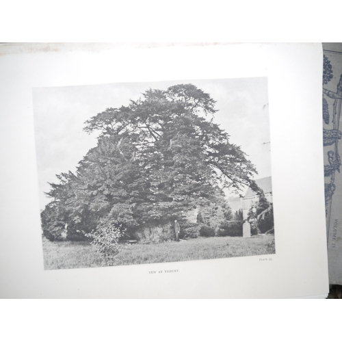 9092 - (Trees), Henry John Elwes & Augustine Henry: 'The Trees of Great Britain & Ireland', Edinburgh, Priv... 