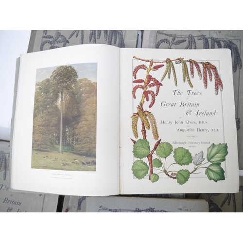 9092 - (Trees), Henry John Elwes & Augustine Henry: 'The Trees of Great Britain & Ireland', Edinburgh, Priv... 