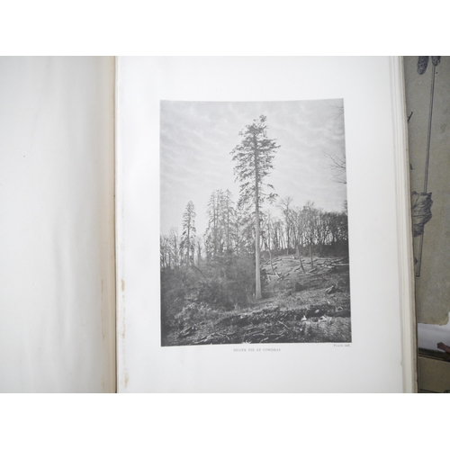 9092 - (Trees), Henry John Elwes & Augustine Henry: 'The Trees of Great Britain & Ireland', Edinburgh, Priv... 