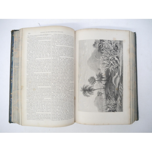 9095 - William Rhind: 'A History of the Vegetable Kingdom', Blackie, 1865, engraved portrait frontis of Lin... 