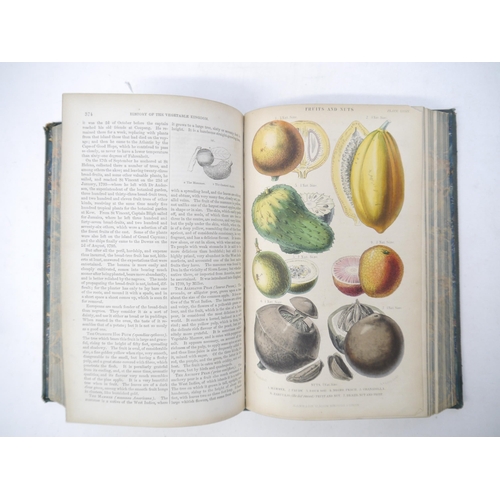 9095 - William Rhind: 'A History of the Vegetable Kingdom', Blackie, 1865, engraved portrait frontis of Lin... 