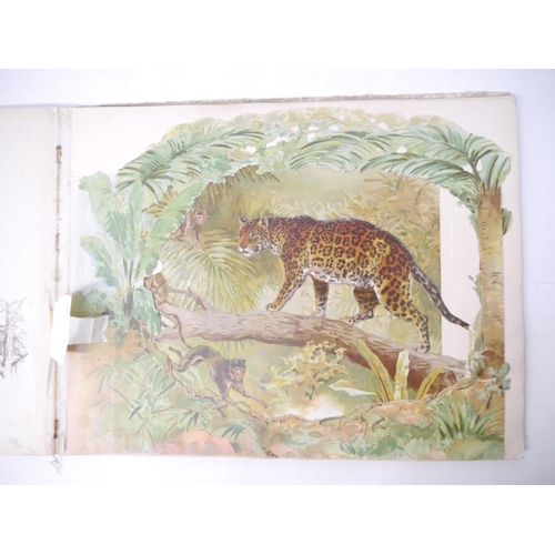 9286 - 'Wild Animal Stories. A Panorama Picture Book, with an introduction by G. Manville Fenn', Ernest Nis... 