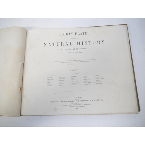 9287 - 'Thirty Plates Illustrative of Natural History, with a Short Description Annexed to Each Plate. Part... 