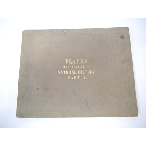 9287 - 'Thirty Plates Illustrative of Natural History, with a Short Description Annexed to Each Plate. Part... 