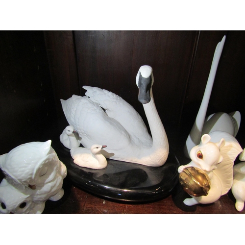 1076 - Royal Osborne and Maruri Masterpiece bone china figures, squirrel and owls. A Franklin Mint swan fig... 