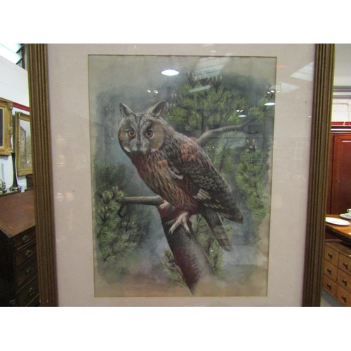 1091 - DES LEERE '76: A gouache of an owl. Signed lower right. Framed and glazed. Image size 39cm x 29cm