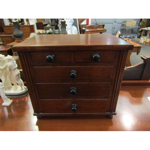 1122 - A 19th Century mahogany collectors' chest of two short over three graduated drawers on turned feet, ... 