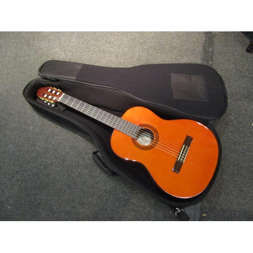 1124 - An Angel Lopez acoustic guitar in soft case