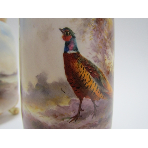 5111 - A pair of Royal Worcester vases painted by James Stinton with pheasants in the landscape, c.1911, 14... 