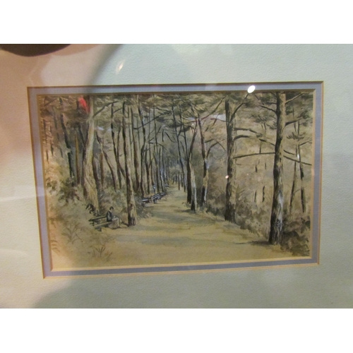 4282 - Two 20th Century watercolours depicting woodlands, one with benches along pathway, and a coloured pr... 