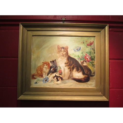 4141 - R.DETRIXHE (b.1935): An oil on canvas depicting cat and kittens next to anemones signed lower right,... 