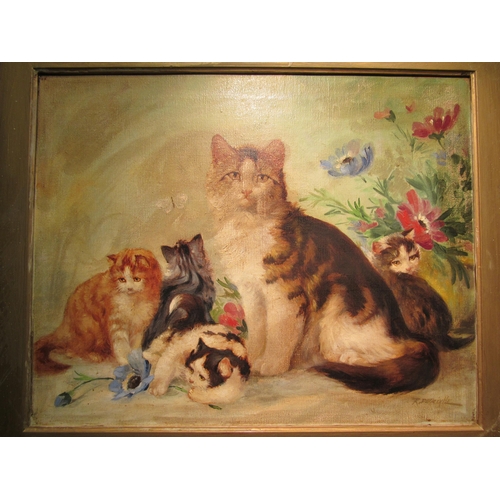 4141 - R.DETRIXHE (b.1935): An oil on canvas depicting cat and kittens next to anemones signed lower right,... 