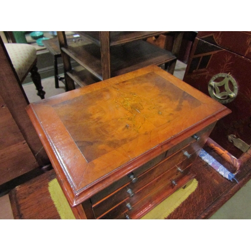 4185 - A burr walnut veneered apprentice chest of drawers, 26cm high x 28.5cm wide x 19cm deep