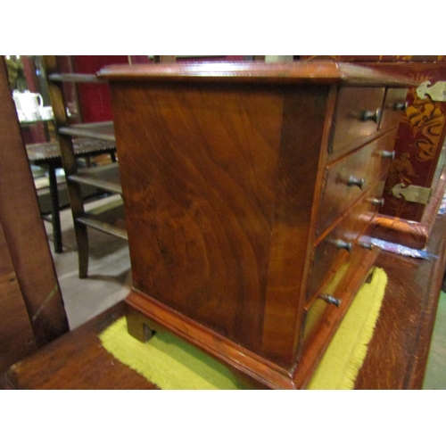 4185 - A burr walnut veneered apprentice chest of drawers, 26cm high x 28.5cm wide x 19cm deep