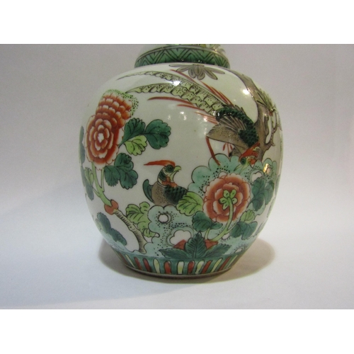 4251 - A Famille vert ginger jar with cover, scenes of birds among foliage, approximately 20cm high