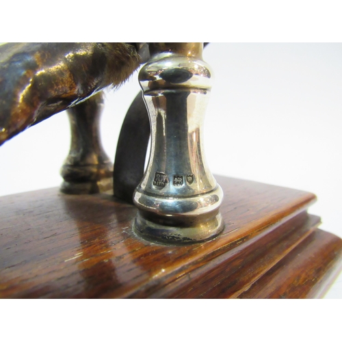 4102 - A silver mounted paw in the form of a letter clip on a wooden plinth