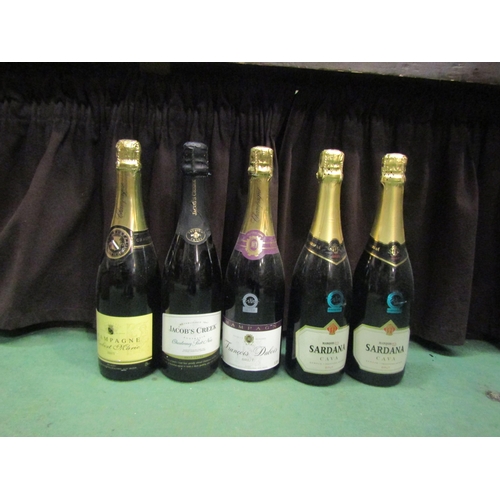 4585 - 13 bottles of various sparkling including Nicolas Feuiliatte Champagne, Adnams, Henry Dumanas etc   ... 