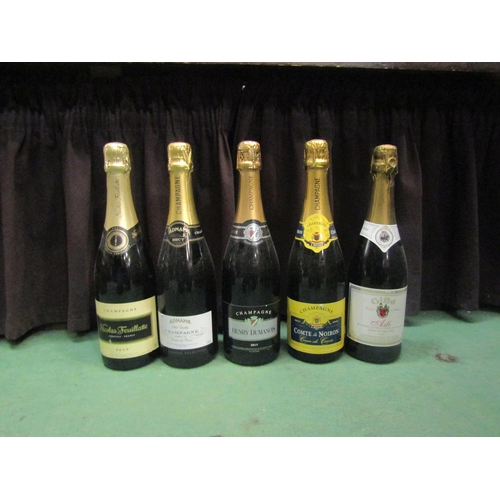 4585 - 13 bottles of various sparkling including Nicolas Feuiliatte Champagne, Adnams, Henry Dumanas etc   ... 