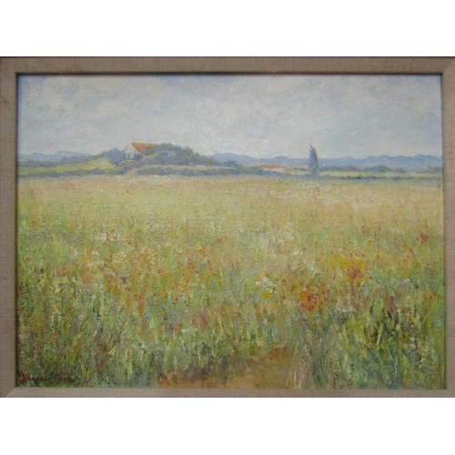 1097 - DIANA COOK: Oil on board of rural buildings across a meadow.  Signed lower left.  Framed.  Image siz... 