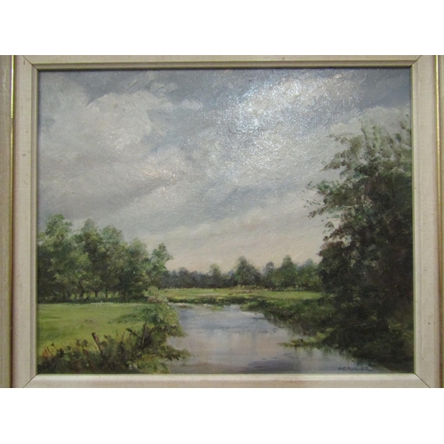 1097 - DIANA COOK: Oil on board of rural buildings across a meadow.  Signed lower left.  Framed.  Image siz... 