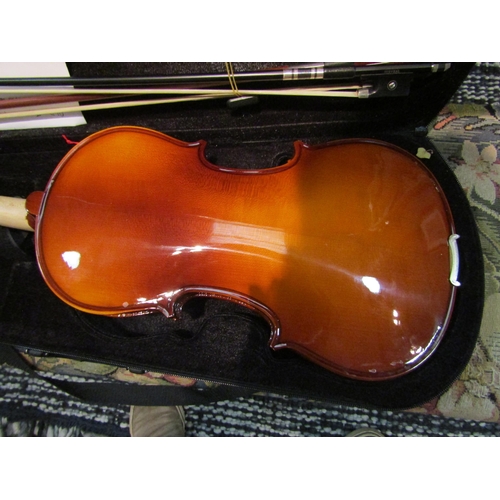 1122 - A Gear 4 Music viola with fitted case and two bows