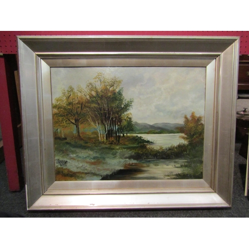 1139 - A late 19th/early 20th Century landscape with trees, lake and hills oil on canvas, framed, 45cm x 60... 