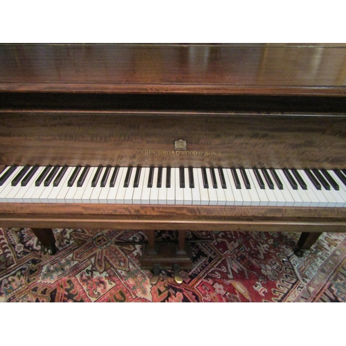 1007 - A John Broadwood & Sons baby grand piano