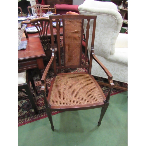 4233 - An Edwardian line inlaid mahogany bergere armchair with burr walnut decoration in the manner of 