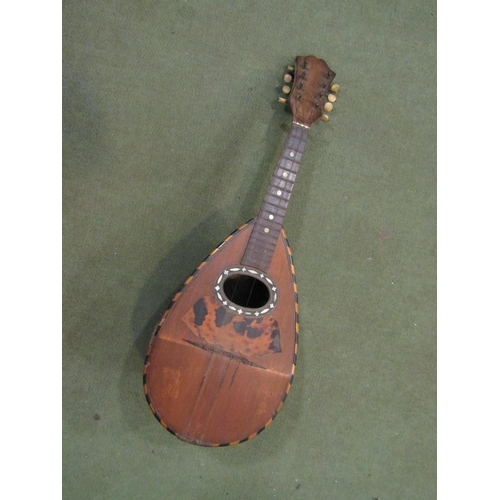 4022 - An early 20th Century Italian Napoli-made roundback mandolin