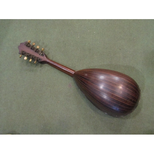 4022 - An early 20th Century Italian Napoli-made roundback mandolin