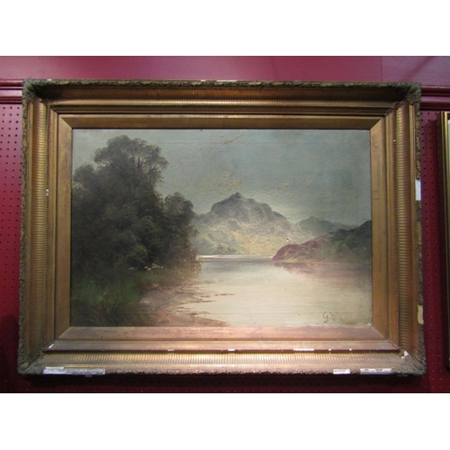 4057 - G. HILL: An oil on canvas depicting a river scene with hills and waterside trees. Signed lower right... 