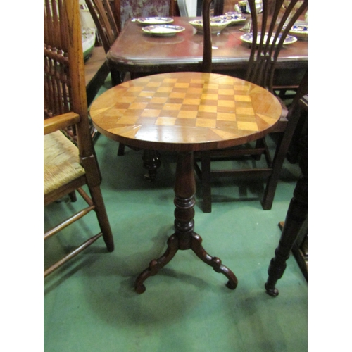 4207 - A 19th Century rosewood and satin walnut circular inlaid chequered tilt-top table on a mahogany turn... 