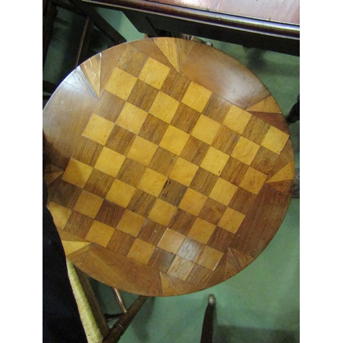 4207 - A 19th Century rosewood and satin walnut circular inlaid chequered tilt-top table on a mahogany turn... 