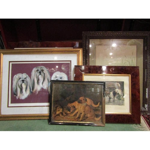 4261 - A group of pictures and prints of dogs including a Victorian print of puppies with kitten after HORA... 