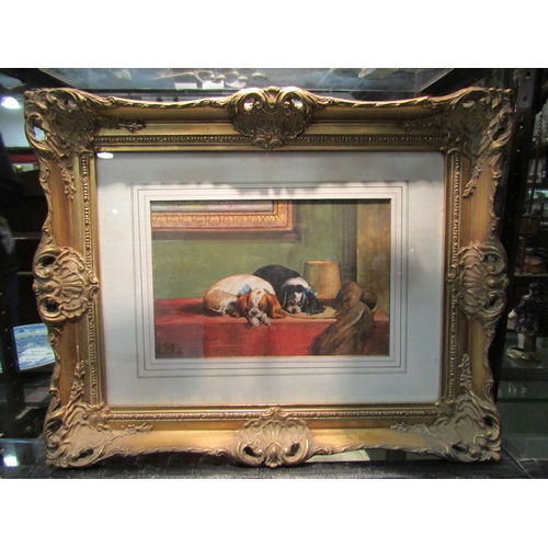 4294 - DAVID V. MESSHAM: Watercolour of two King Charles Spaniels. Signed lower left. Gilt framed and glaze... 