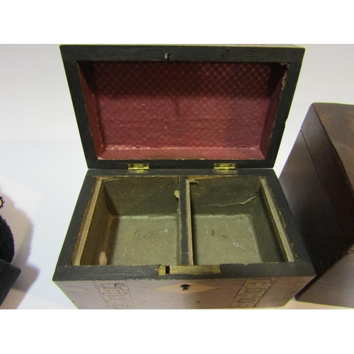 4336 - A 19th parquetry inlaid tea caddy, together with another (2)   (R)  £20