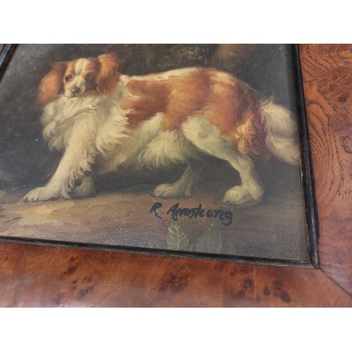 4275 - R. ARMSTRONG: An oil on canvas of a King Charles Spaniel. Signed lower right. Framed. Image size 19.... 