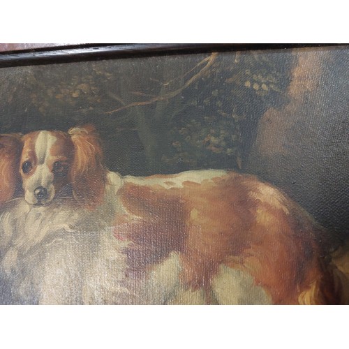 4275 - R. ARMSTRONG: An oil on canvas of a King Charles Spaniel. Signed lower right. Framed. Image size 19.... 