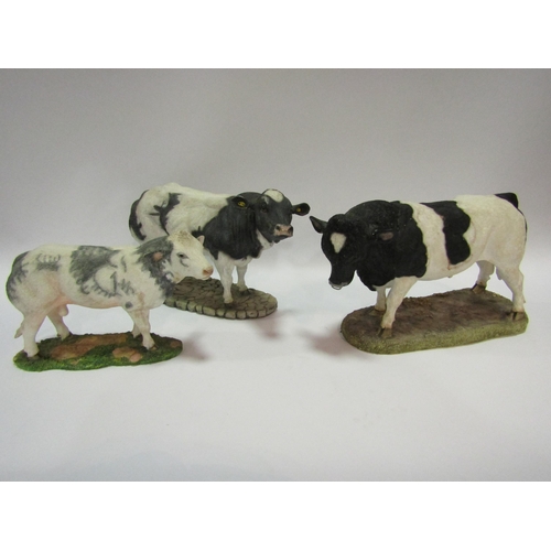 Three Sherratt & Simpson bulls in black and white including Holstein ...