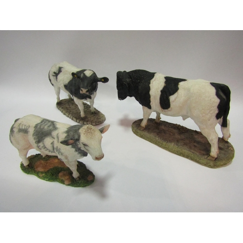 Three Sherratt & Simpson bulls in black and white including Holstein ...