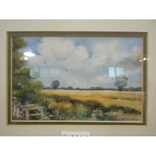 1114 - S.TOLLINGTON (XX): An acrylic of East Anglian landscape, signed lower right, framed and glazed, 11.5... 