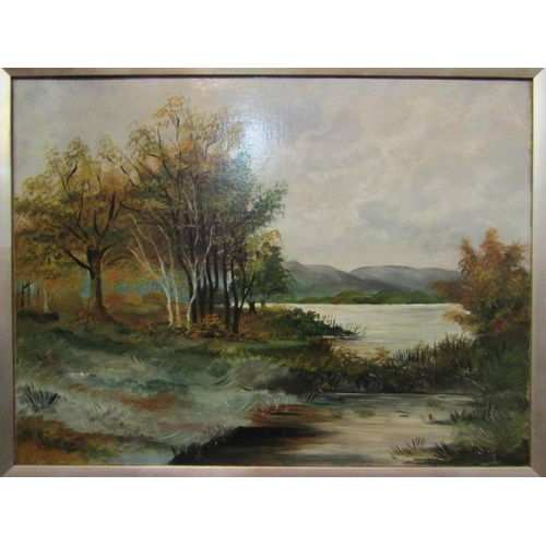 1026 - A late 19th/early 20th Century oil on canvas landscape with trees, lake and hills, framed, 45cm x 60... 