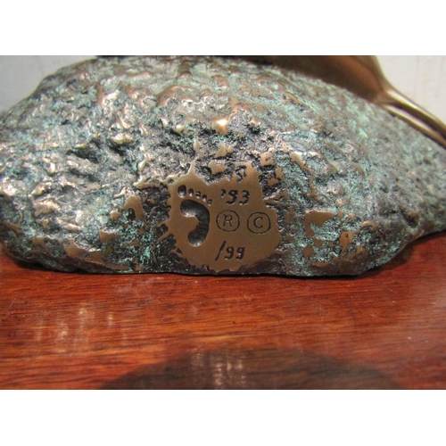 1043 - A Foot's Artworks, Australia 2006 cold cast bronze of a seal, No. 93/99, 21cm long x 14cm deep x 16.... 