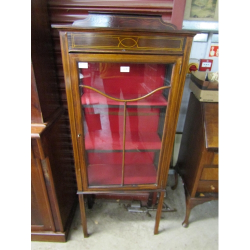 2101 - An Edwardian display cabinet with astragal glazed door