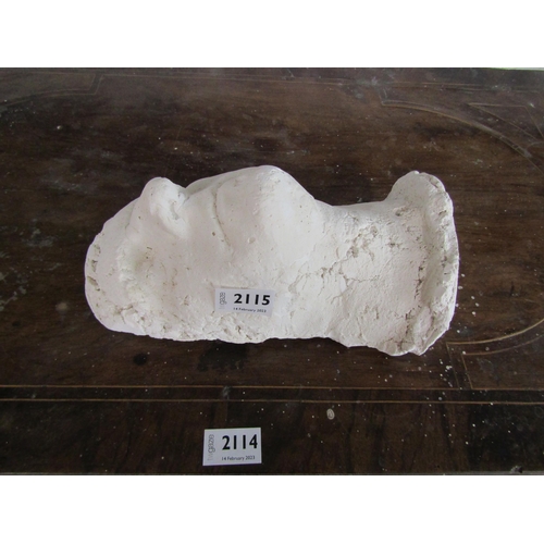 2115 - A plaster death mask