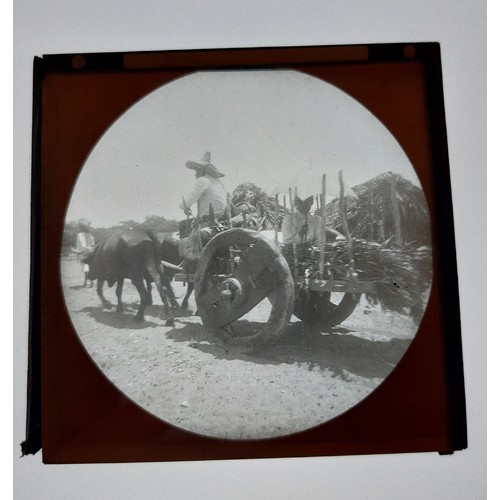 5243 - Harriet Chalmers Adams (American, 1835-1937) A collection of over 60 magic lantern slides documentin... 