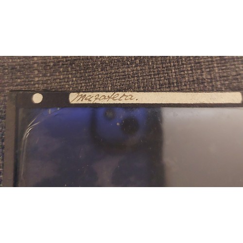 5243 - Harriet Chalmers Adams (American, 1835-1937) A collection of over 60 magic lantern slides documentin... 