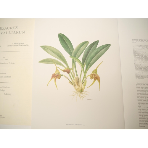 5294 - (Botany, Orchidaceae), Carlyle August Luer: 'Thesaurus Masdevalliarum. Eine Monographie der Gattung ... 