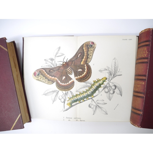 5322 - (Natural History, Colour Plates), 'Lloyd's Natural History', 1896-97, fourteen volumes, all edited R... 